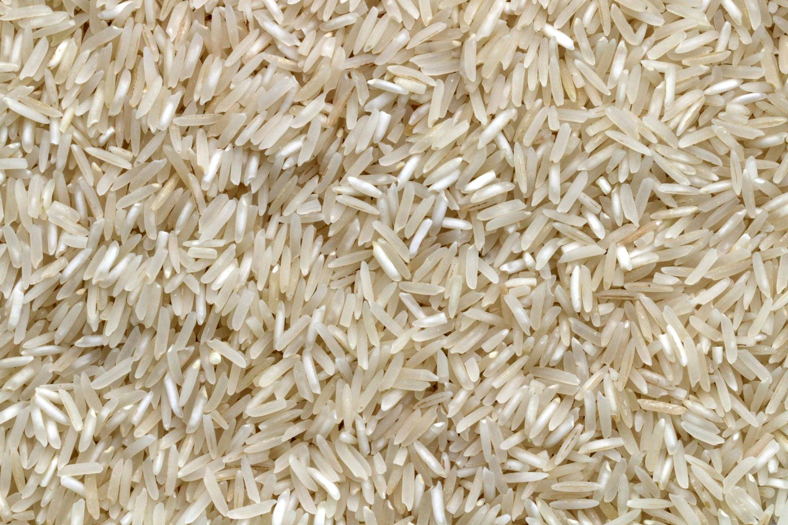 Raw rice grains
